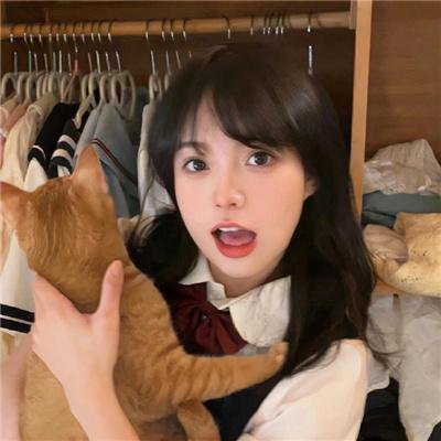 小野猫的公路历险记